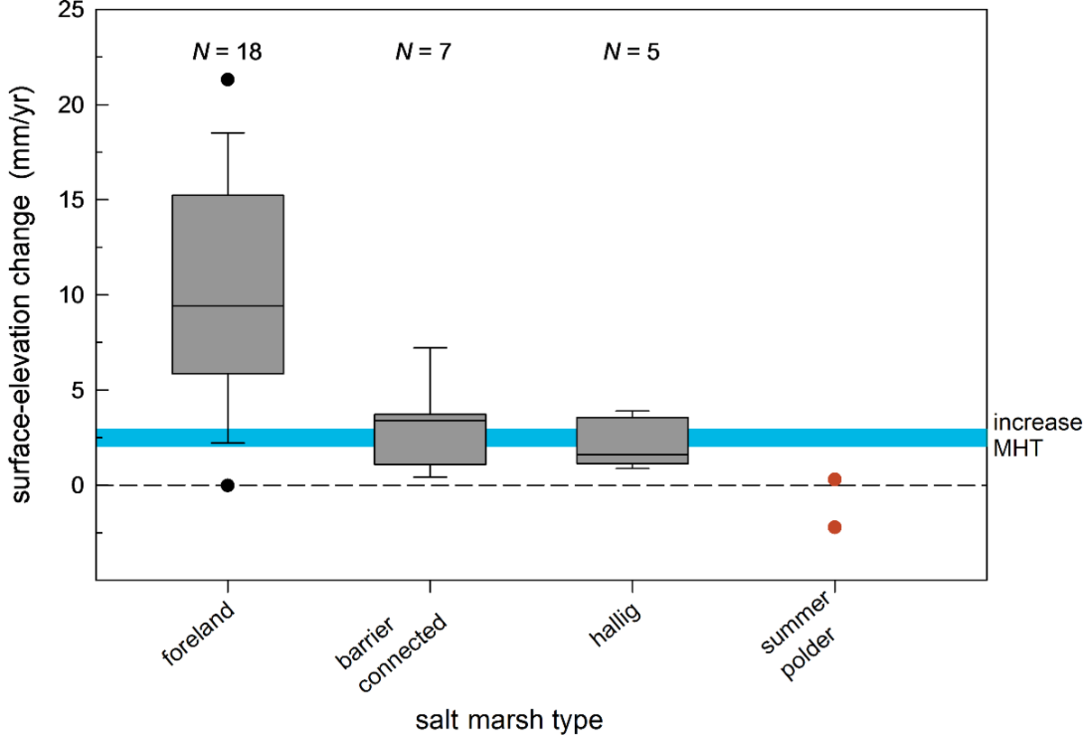 Vertical accretion rates in Wadden Sea salt marshes and summer polders