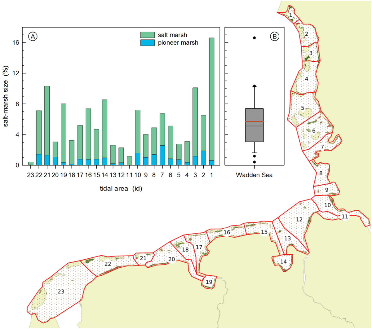  Distribution of salt marshes in the Wadden Sea