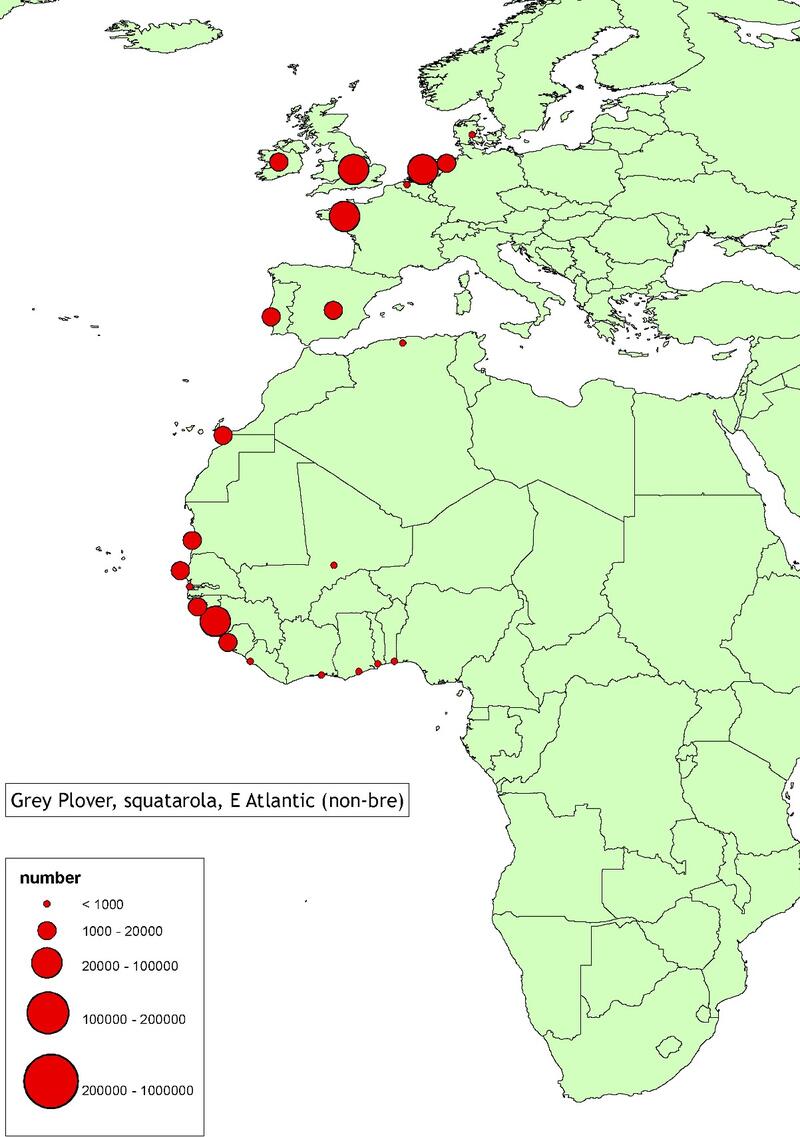Figure 4. Examples of flyway distribution during winter 2012-2014 of Wadden Sea relevant populations