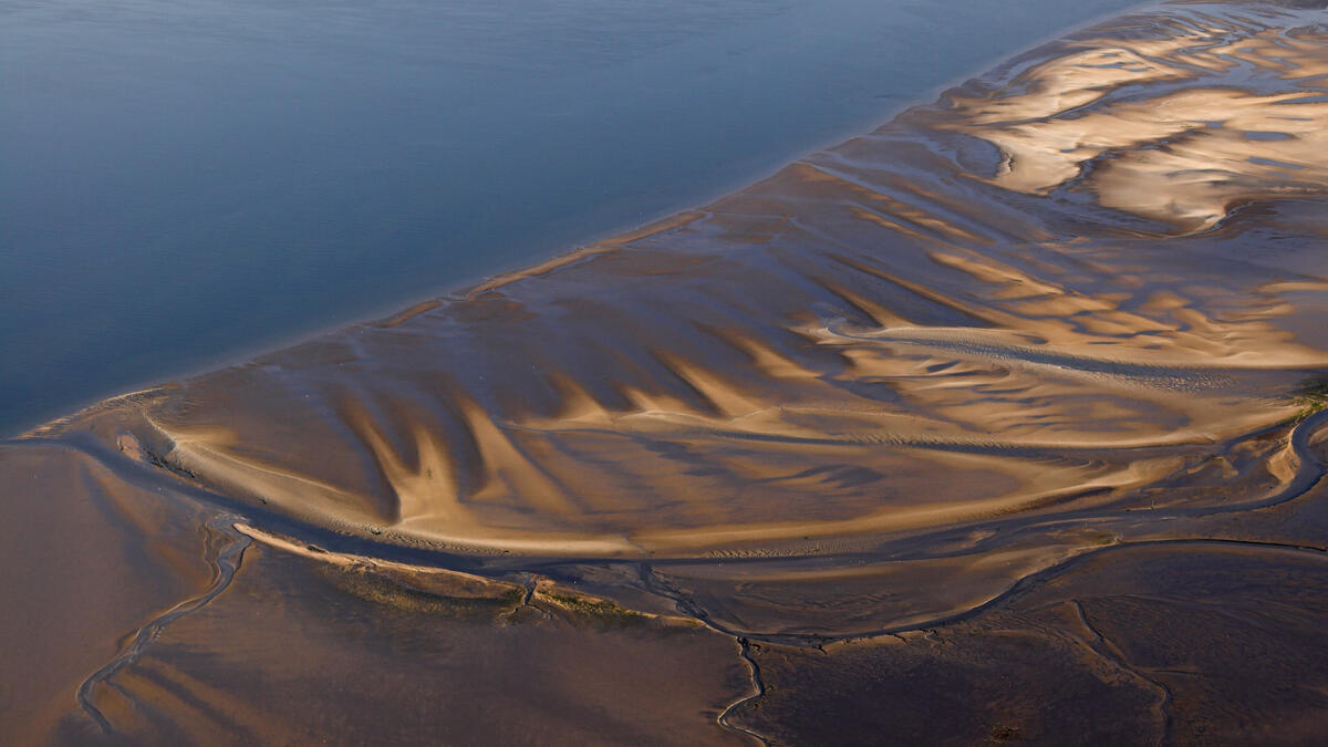 Martin Stock. Aerial photo of mudflats.