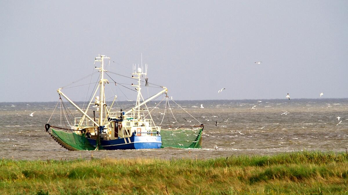 Shrimp Fishing Net Detail on Dutch Fishing Boat Stock Photo