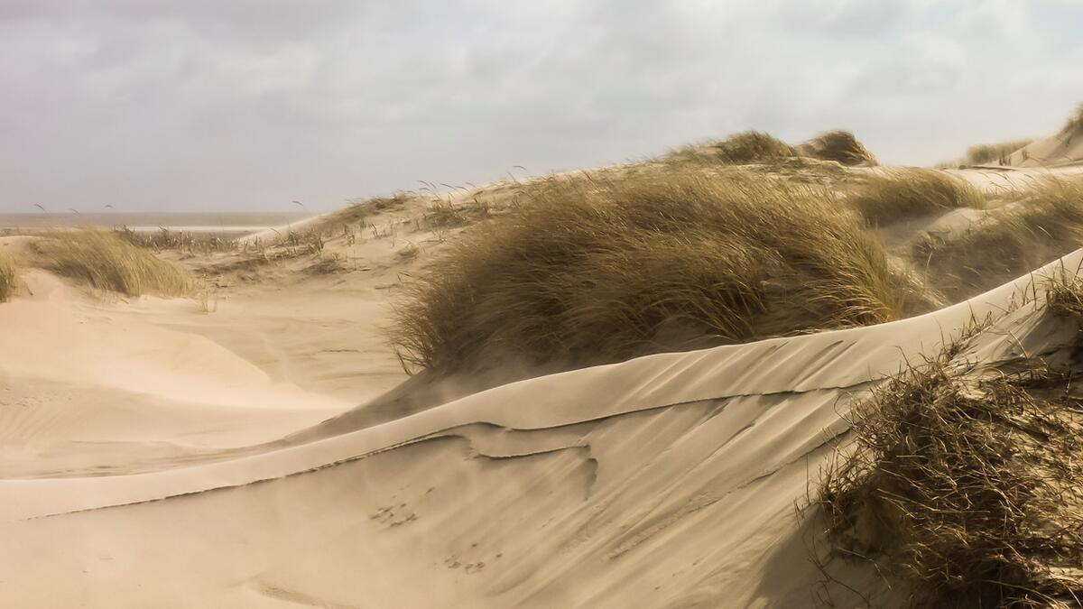 Alma de Groot. Aeolian sand transport on Rømø.