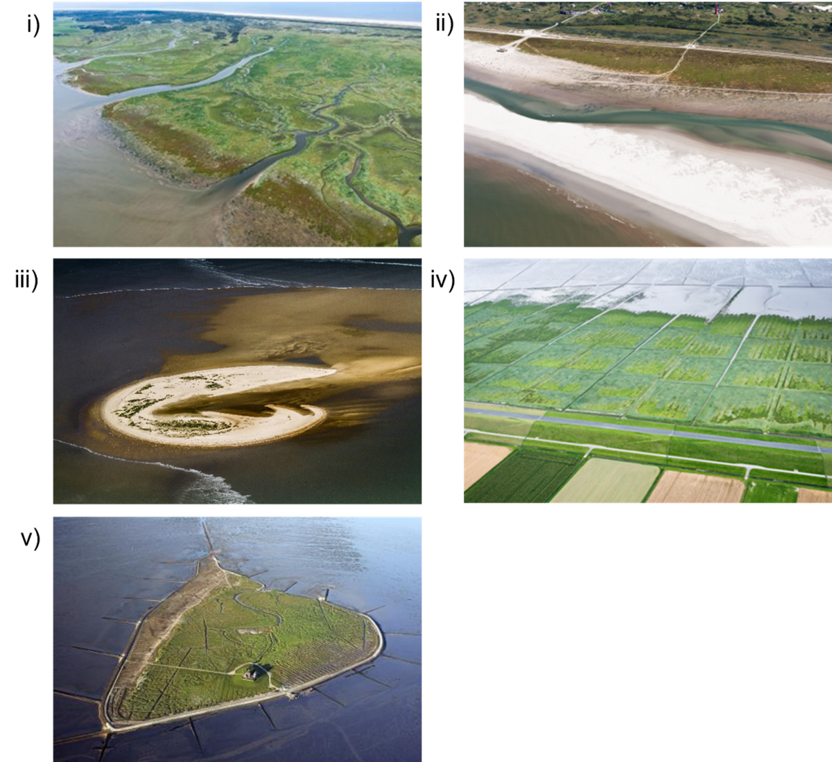 Figure 1. Photographic impression of the five characteristic salt marsh types of the Wadden Sea