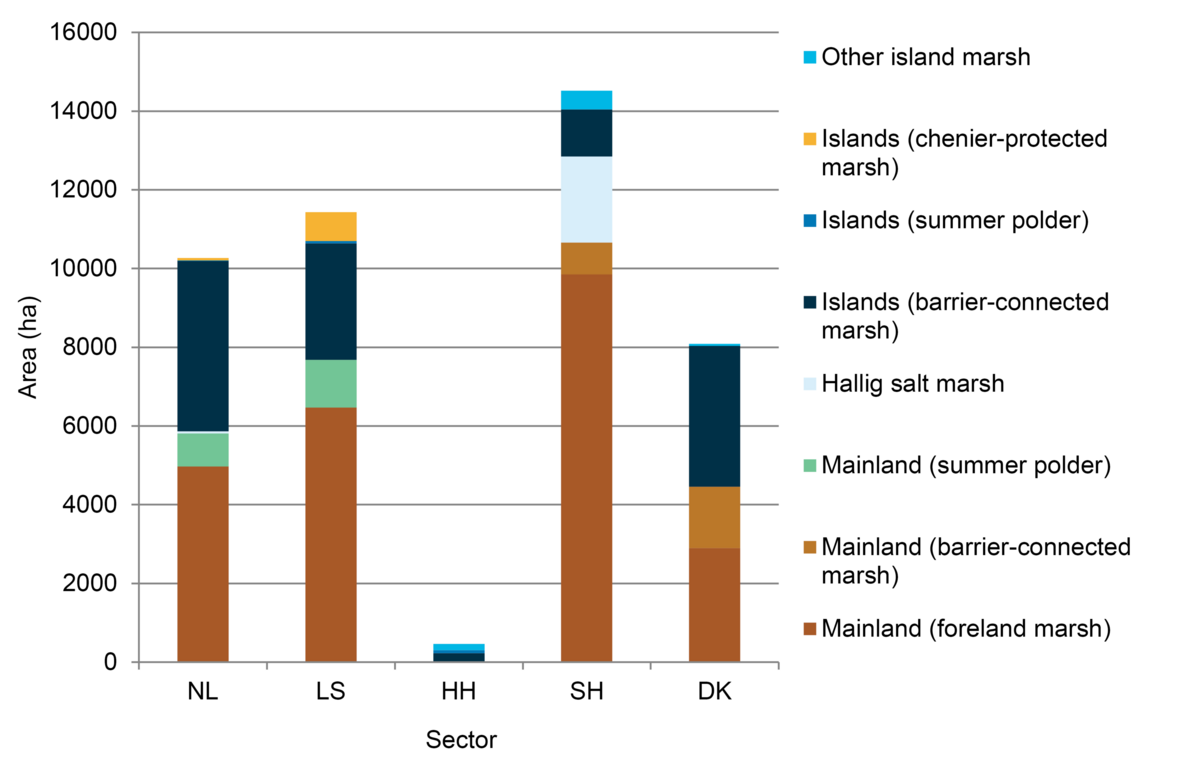 Figure 2. Overview of the total area of salt marshes and summer polders