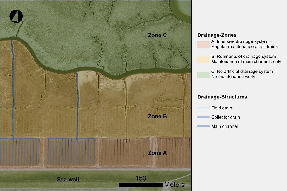 Figure 5. Drainage management of salt marshes in front of seawalls in Schleswig-Holstein