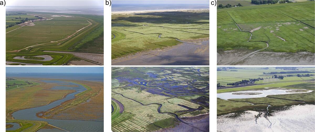 Figure 9. Salt marsh restoration sites