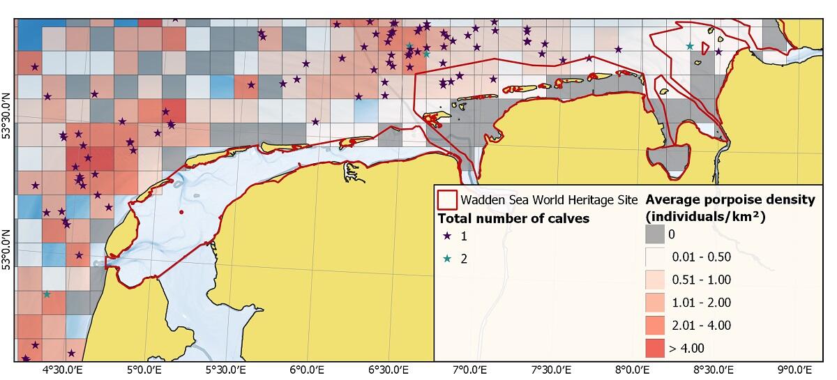 Figure 9. Average porpoise density and calf sightings for Danish (2011-2019) and German waters (2002 to 2020) during summer (June, July, August) (adapted from Scheidat et al. (under review)).