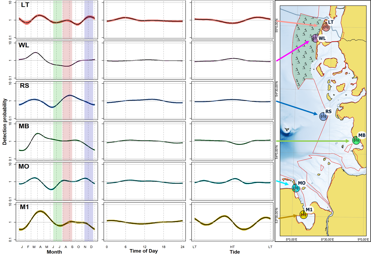 Figure 12. Influence of various environmental variables (month, accounting for season and therefore temperature, daytime for light periods and tide) on the registration of porpoises at the six measuring positions (averaged over the monitoring period). The coloured area around the smooth function displays the area of the 95% confidence interval. The phase of the highest birth rate (June 6 to July 16, according to Hasselmeier et al. (2004) is coloured green, the mating season is red and the time after which t