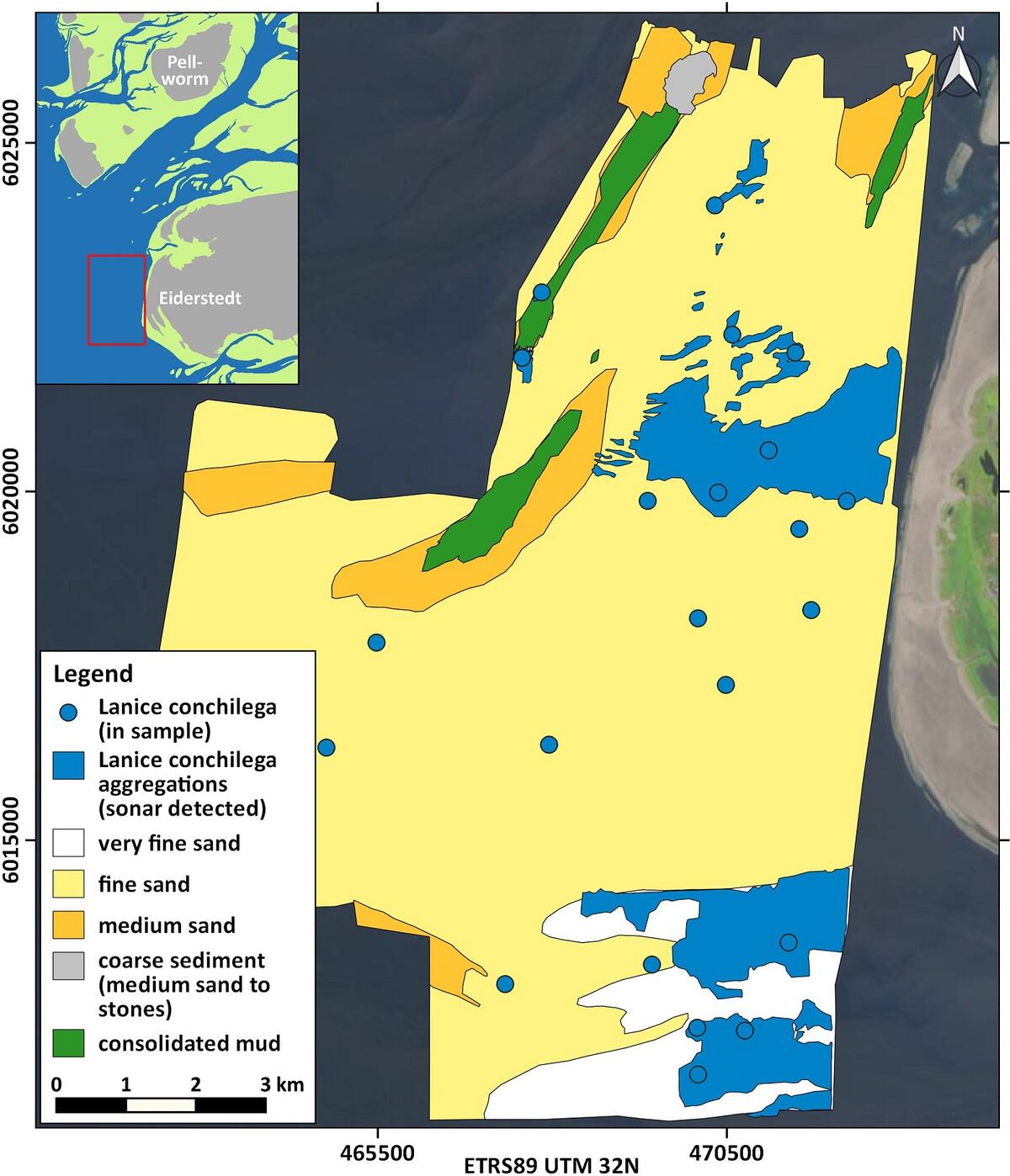 Figure 13: Distribution of Lanice conchilega in 2016 west of the Eiderstedt peninsula and in the outermost Eider estuary.