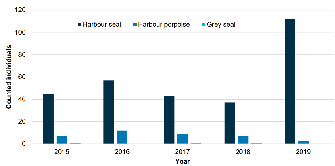 Figure 15. Number of stranded harbour seals (Phoca vitulina), Harbour porpoises (Phocoena phocoena) and grey seals (Halichoerus grypus) reported from the Danish Wadden Sea Area to the Danish National Contingency Plan concerning strandings of marine mammals in the period 2015 to 2019.