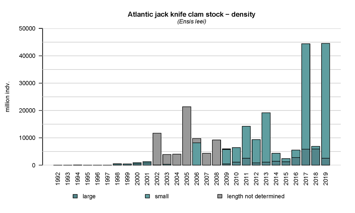 Figure 16: Annual density of the Atlantic jack knife clam (Ensis leei) in the subtidal areas of the tidal basins Marsdiep and Vliestroom located in the western Dutch Wadden Sea using data from the annual subtidal mussel stock assessment.