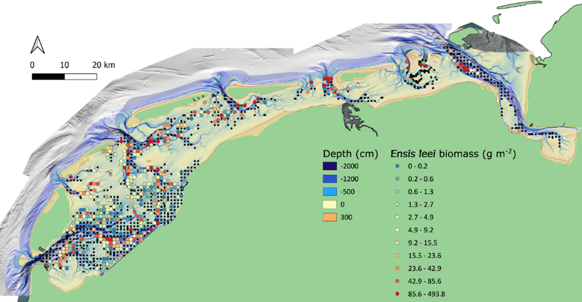 Figure 17: Sampled locations of the Waddenmozaïek project in the Dutch subtidal Wadden Sea in 2019