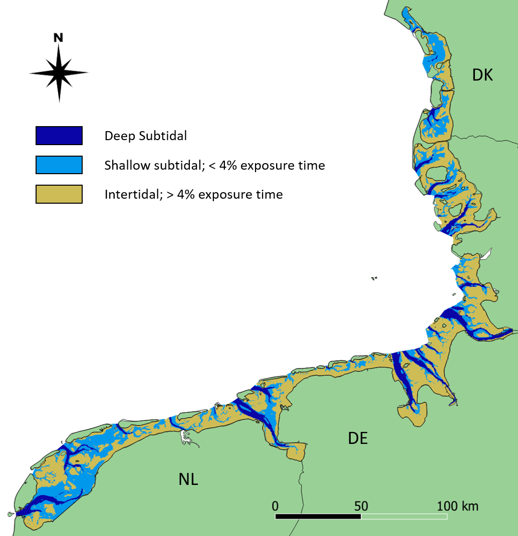 Figure 1: Distribution of deep and shallow subtidal (dark and light blue, respectively) and intertidal (yellow) areas in the trilateral Wadden Sea. The map is based on the ecotopes provided in Baptist et al. (2021).