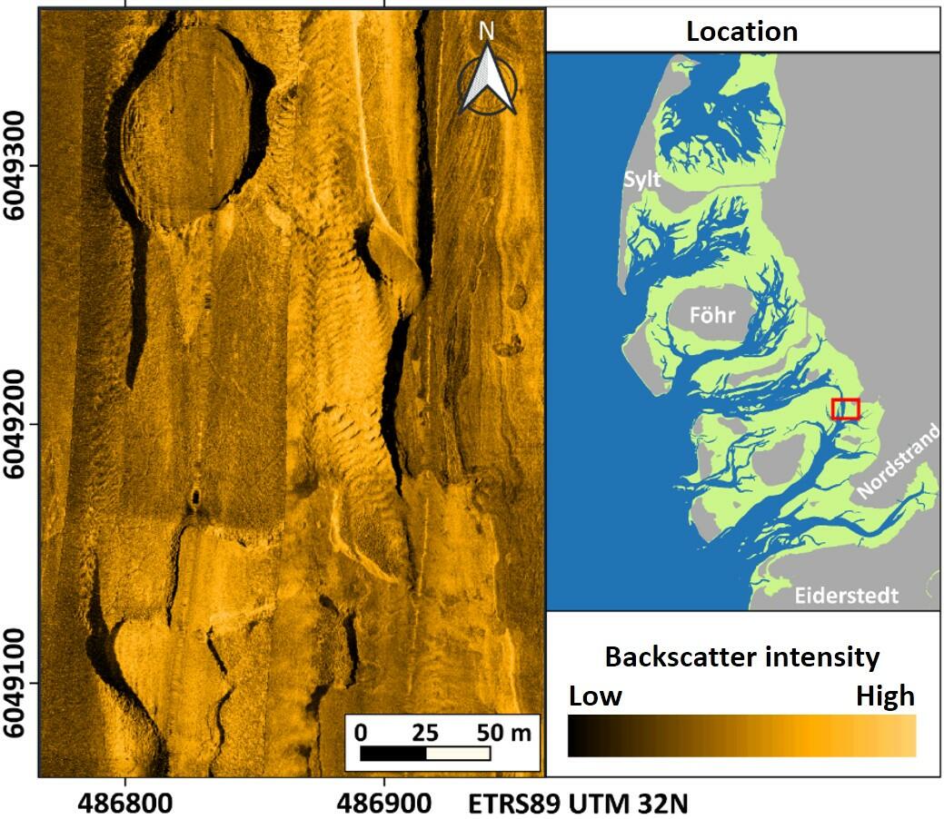 Figure 21: Side-scan sonar mosaic of complex outcrop structures of consolidated fine-grained sediments partly covered by thin sand layers.