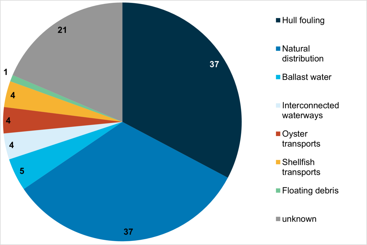  Possible introduction vectors of marine alien species in the Wadden Sea Area including records up to 2020 (Gittenberger 2021, see chapter 8.2). Numbers indicate the total count of taxa for each vector.