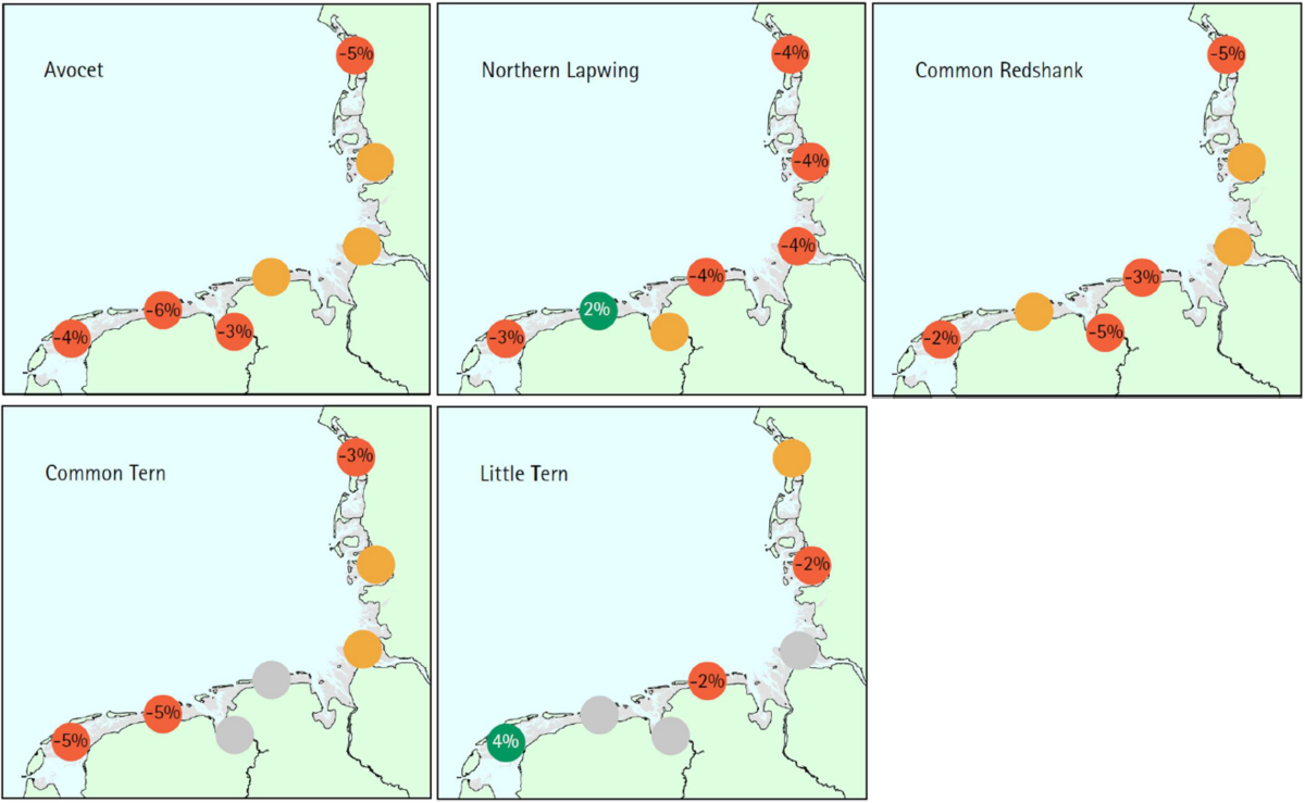 Figure 6. Examples of species for which trends (1991-2017) differ within the Wadden Sea. Colour denotes increase (green), stable (orange) or decrease (red). Uncertain trends are marked in grey. For increasing and decreasing species, the figure shows the annual rate of population change.