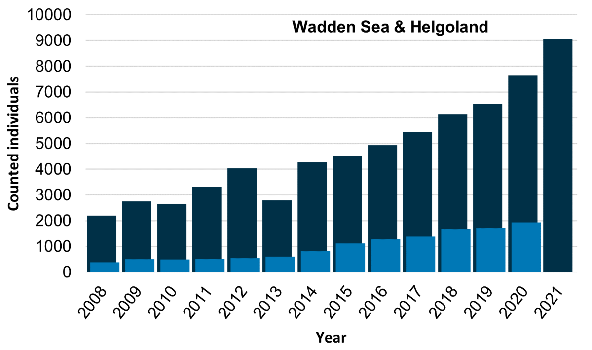 Figure 6. Number of grey seals counted during grey seal moult counts in the Wadden Sea Area between 2005 and 2021(dark bars) and number of pups counted in the preceding pupping season (light bars).