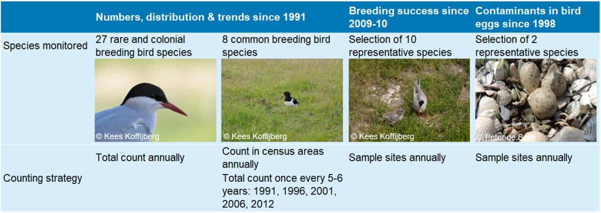  Setup of the TMAP monitoring scheme for breeding birds in the Wadden Sea. For a complete overview, the scheme for contaminants in bird eggs is shown as well, but it is not coordinated by the Expert Group Breeding Birds and not reviewed in this chapter.