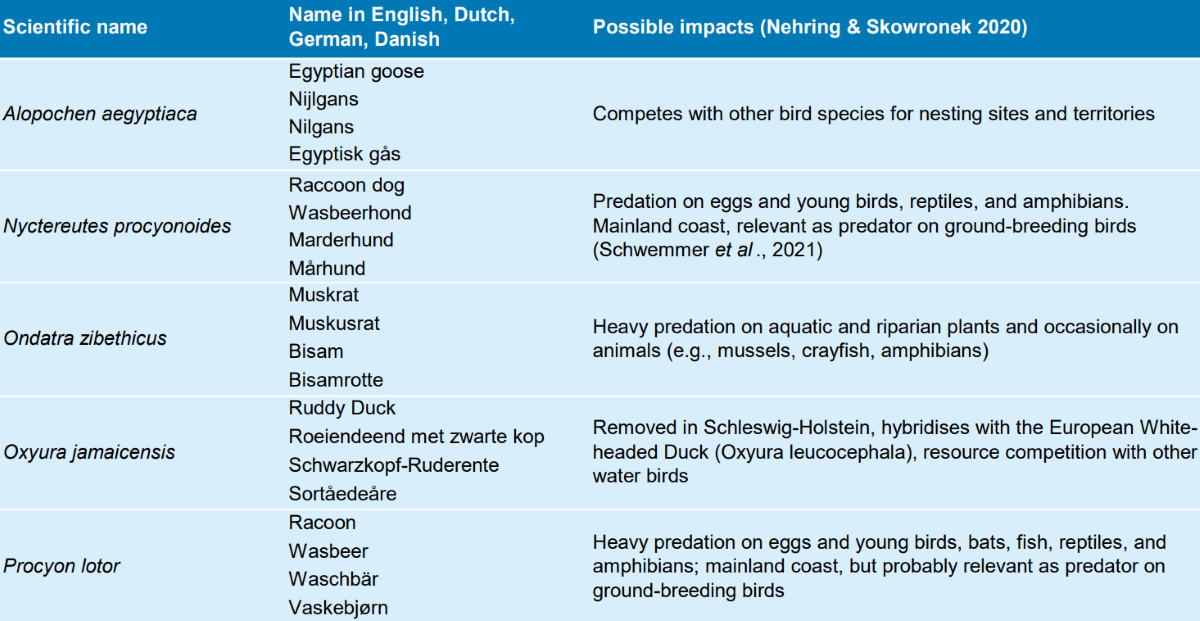 Examples of wild living alien vertebrates of the Union list in the Wadden Sea region and their possible impacts (Lensink et al. 2015; The Danish Environmental Protection Agency 2017; Nehring & Skowronek 2020).