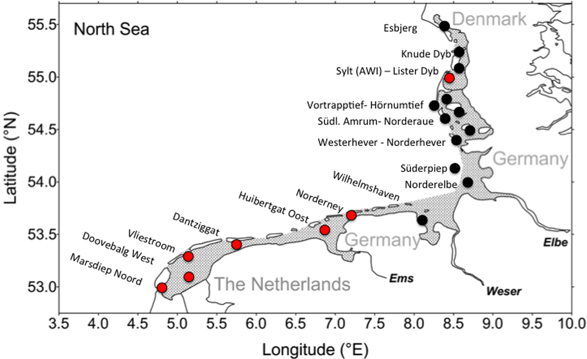 Figure 5. Map of the Wadden Sea with the stations used in the QSR. 