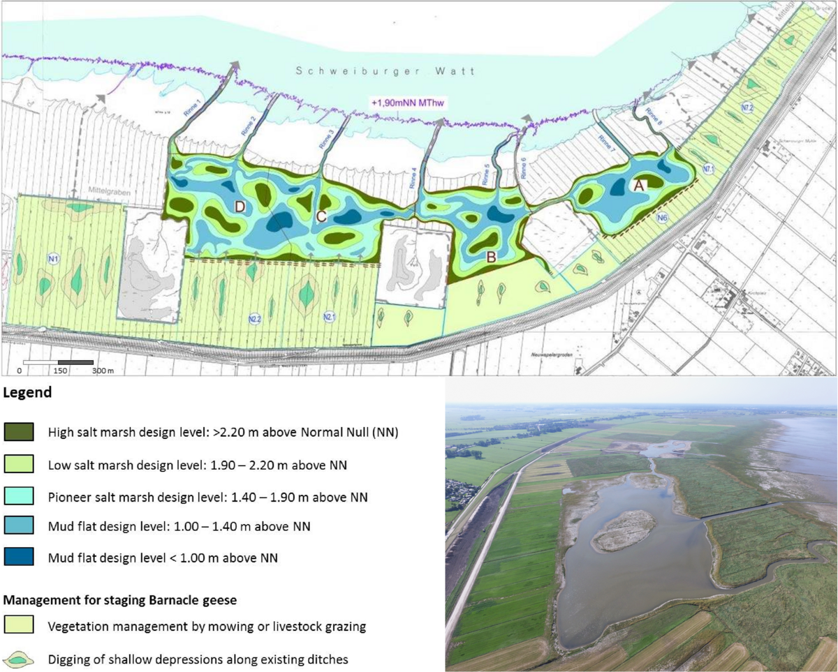 Figure 15: Example of re-designing and rewetting an artificial salt marsh after clay extraction by removing the top soil in the Neuwapeler Außengroden