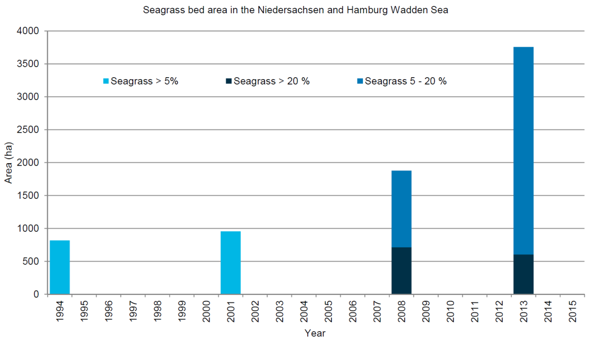  Long-term development of the seagrass bed area in the Niedersachsen/Hamburg Wadden Sea from 1994 to 2013.