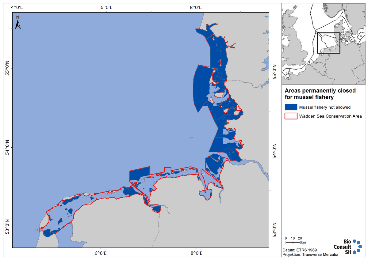 Figure 9. Wadden Sea areas currently closed to mussel fishery. This map includes future closed areas in Schleswig-Holstein when the updated management plan comes into effect.