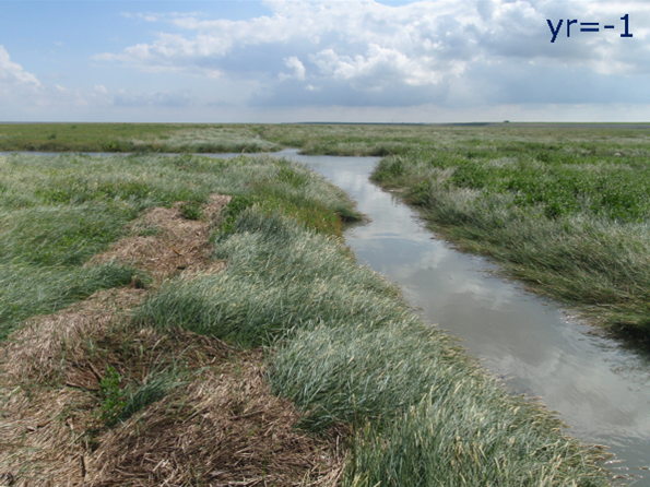 Figure 9: The effect of the partial filling of a collector drain in the salt marsh of Negenboerenpolder