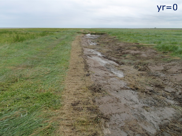 Figure 9: The effect of the partial filling of a collector drain in the salt marsh of Negenboerenpolder