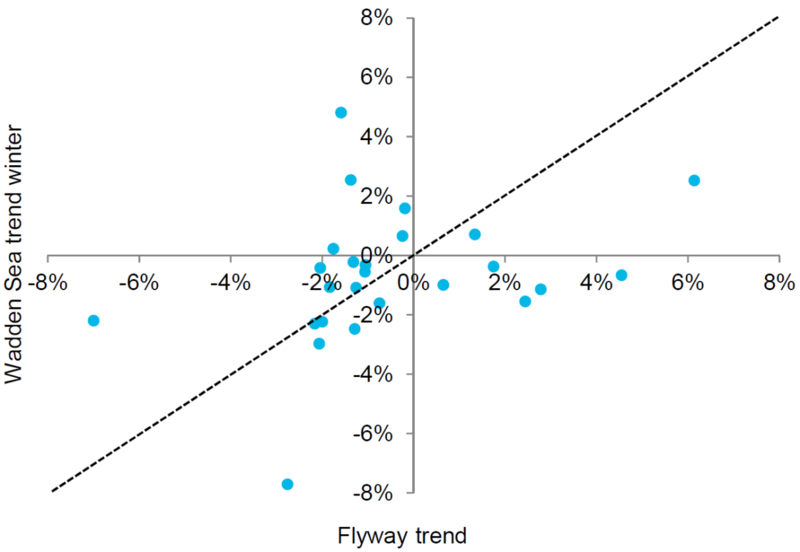Figure 5. Flyway trends compared with Wadden Sea trends for benthivore species