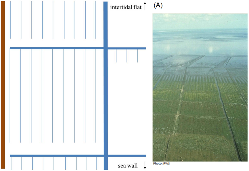 Figure 7: Schematic overview of changes in the artificial drainage system after the traditional maintenance was discontinued