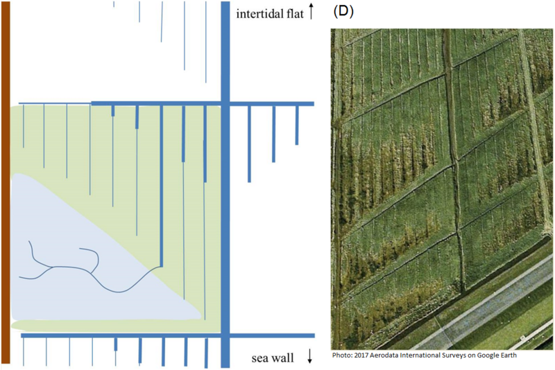 Figure 7: Schematic overview of changes in the artificial drainage system after the traditional maintenance was discontinued