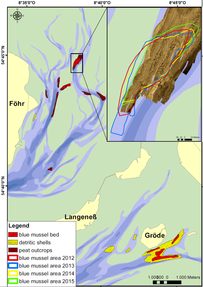  Mapped subtidal habitats in the North Frisian tidal basins of Norder- and Süderaue