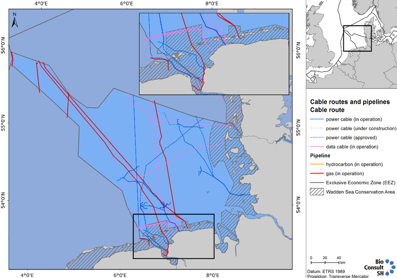  Cable and pipeline routes for wind farm grid connections and gas/hydrocarbon connections; Right (B): Number and position of suitable wind farms clusters in the German Bight (Source: Bundesamt für Schifffahrt und Hydrographie).